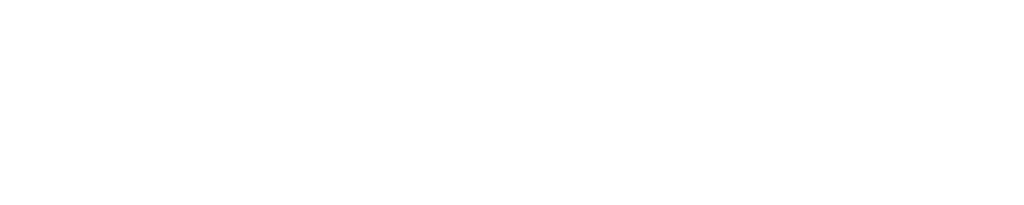 Logo eContabilul alb